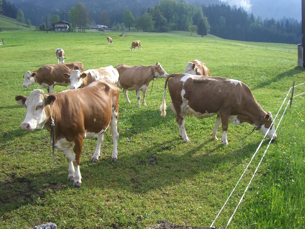 Vorderstockerhof Sankt Johann in Tirol Exterior foto